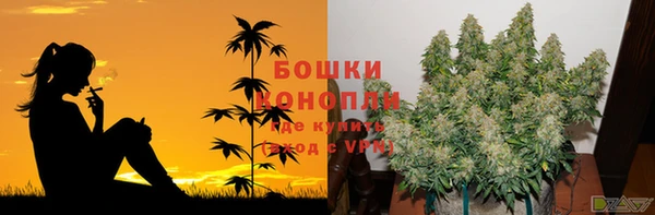 бошки Бронницы