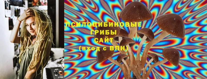 Галлюциногенные грибы Psilocybe  дарнет шоп  Малаховка 